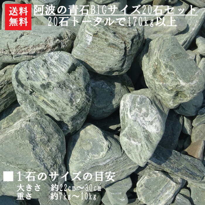 【送料無料】【代引不可】阿波の青石土留め石【“BIGサイズ”の20石セットです】肉厚で大きい青石が含まれてきます＾＾…