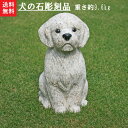 【送料無料】犬の石彫刻品(錆石)垂れた耳が愛嬌抜群♪【石の置物・オーナメント】【犬の置物】【石の犬】