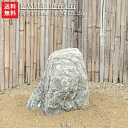 【送料無料】【1日/4日/14日/24日限定】【石の市特別価格商品】徳島県産 庭石1石【庭石】【飾り石】【1】景石にいかがでしょうか?