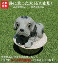 【送料無料】【1日/4日/14日/24日限定】【石の市特別価格商品】鉢に乗った犬【石のオーナメント】【犬の置物】【石の犬】