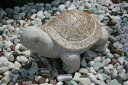 【送料無料】 石の亀(錆石)【縁起物】亀は【万年】長寿のシンボル石の彫刻品でできたかわいぃ亀さんです玉砂利や庭石の上などにもピッタリ♪【亀の置物】【石のカメ】【...