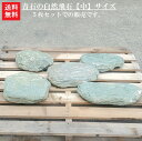 【送料無料】【代引不可】【飛び石】青石の自然飛石5枚セット【中】サイズ青石を使った自然飛石です^^自然石のよさをお楽しみ下さい。【ガーデニング資材】【飛石】【青...
