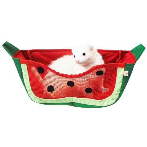 スイカのメッシュブランコ / フェレット ハンモック 夏用のサムネイル