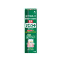 シコンコート 110g / 小林製薬