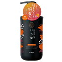 いち髪 濃密W保湿ケア コンディショナー ポンプ 480g / クラシエ