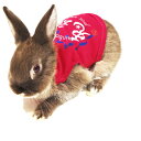 【送料無料】rabbit兎魂：ピンク（Lサイズ） / うさぎ 洋服 服 ウェア【在庫限り】