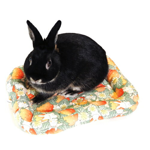 うさちゃんのスクエアマット / うさぎ モルモット ベッド レインボー