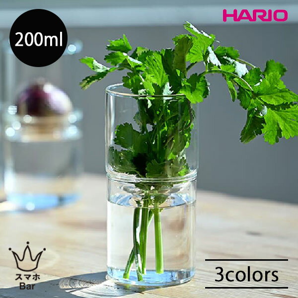 Rakuten - HARIO ガラスの花器 GK-200 花瓶 200ml 耐熱ガラス クリア 透明 ブラック アンバー 植物 花 水耕栽培 多肉植物 ハーブ ガラスのある生活 雑貨 ハリオ ギフト プレゼント