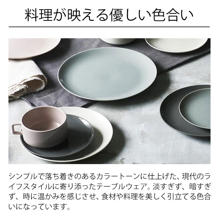 aito クルール プレート L 24cm 大...の紹介画像3