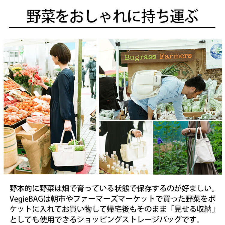 VegieBAG SQUARE 【SI-210】ベジバッグ スクエアキャンバス生地 コットン 綿 厚手 丈夫 ポケット 仕切り 便利ナチュラル シンプル お洒落 プレゼント ギフト