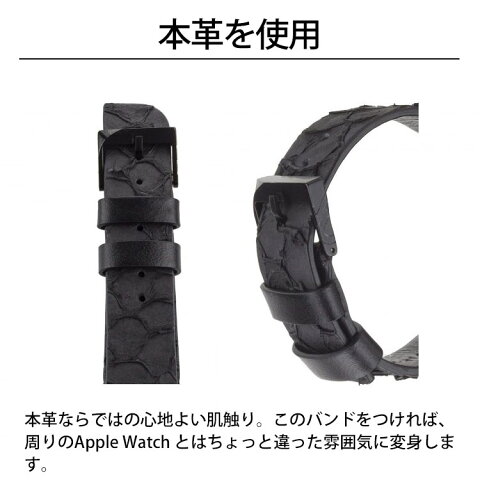 ����̵�� Case-Mate Scaled Croc Leather Ebony Apple Watch�Ѹ򴹥Х�� 38mm 40mm CM032787 Apple Watch ���åץ륦���å� �� �������ޥ��� ������� ���襤�� ��ǥ����� �쥶�� �ܳ� �إ����� ����Ū �ץ쥼��� �������ᥤ�� ���ޥ�Bar