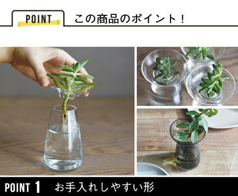 KINTO AQUA CULTURE VASE [Sサイズ]キントー アクアカルチャーベース 花瓶 花器 フラワーベース 多肉植物 球根 種 水栽培 水耕栽培 シンプル ハーブ ヒヤシンス サボテン アボカド ガラス グリーン インテリア 雑貨 ギフト プレゼント スマホBar [3]