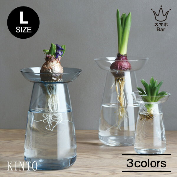 キントー 花瓶 KINTO AQUA CULTURE VASE [Lサイズ]キントー アクアカルチャーベース 花瓶 花器 フラワーベース 多肉植物 球根 種 水栽培 水耕栽培 シンプル ハーブ ヒヤシンス サボテン アボカド ガラス グリーン インテリア 雑貨 ギフト プレゼント スマホBar