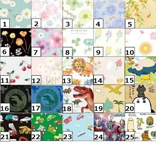 【5冊 お薬手帳　花柄 ＆ 男の子 系　よりどり　1200円】　送料無料　お薬手帳　その他のキャラクター　5冊セット