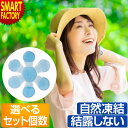 帽子用保冷剤 【15日限定全品P4倍〜】 《お得!1個〜10個セット》 《濡れにくい》 ワンランク上の 帽子用 保冷剤 冷却材 自然凍結 熱中症対策 冷却 帽子...