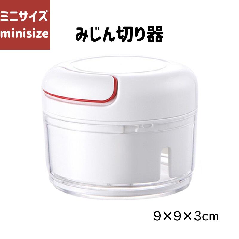 にんにく みじん切り器 小量 175ml 送