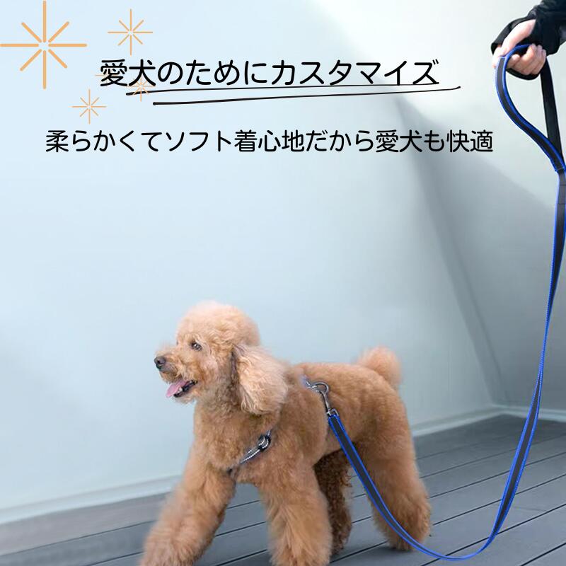 ���ѥ꡼�� ���ߤ��դ� ���פǰ��� �����䤹�� ������ ���� Ĵ���ǽ ȿ���Ǻ� ������ �淿�� �緿�� ���� ����