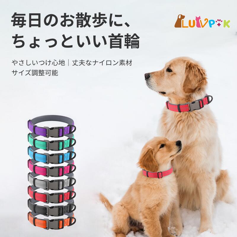 Rakuten - ＼GWセールP10倍＆クーポン配布／犬 首輪 小型犬 中型犬 大型犬 サイズ調節可 雨の日 アウトドア 速乾 丈夫 便利 ソフト 無地 軽い 柔らかい 痛くない つけっぱなし 犬の首輪 犬用首輪 シンプル しつけ かわいい 調節簡単 子犬 耐久性 反射付き ナイロン 軽量