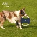 楽天6冠達成 犬用フリスビー