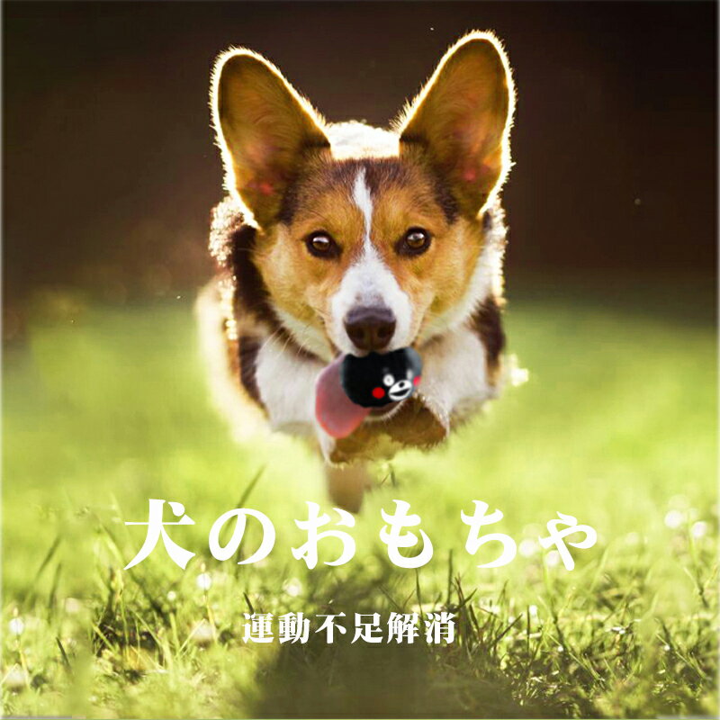 ���� ���� �ɥå� ���� �ܡ��� ������� �����Ĥ� ū�� �ܡ��� �̤������ Ķ������ ������ S M�������� ������� �����¿� ���� �� ��������㥳�åȥ� �ڥå� �� ������� ���ȥ쥹��� ���� �ѵ��� ���᤭ ��������� ��������� ���प�����