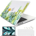 マックブック エアー 15 インチ 2023 A2941 M2 チップ ケース カバー サボテン Apple アップル MacBook Air ハードケース 衝...