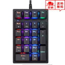 即納 有線 テンキー キーボード ブラック 21キー 青軸 LEDバックライト付き デスクトップ/パソコン/ノートパソコン Windows 対応