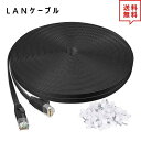 LANケーブル イーサネットケーブル ネットワークケーブル ブラック 100ft/30m CAT6/カテゴリ6 フラットタイプ 高速 有線 Ethernet ケ...