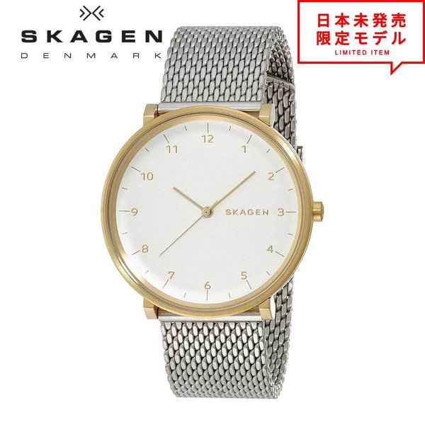 SKAGEN XJ[Q Y rv XgEHb` SKW6170 Vo[ CO v { X1Nۏ