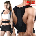 即納 背筋 姿勢 猫背 補正ベルト 矯正ベルト 強力タイプ S/M/L 大人用 男性 女性 サポーター 猫背改善 姿勢改善 歪み予防 矯正 ポイント消化
