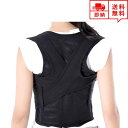 即納 背筋 姿勢 猫背 補正ベルト 矯正ベルト キッズ 子供用 サポーター S/M/L/XL 猫背改善 姿勢改善 歪み予防 矯正 ポイント消化