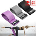 即納 エクササイズ トレーニング グッズ エクササイズバンド チューブ 3本セット ブラック/グレー/パープル ダイエット 体幹 改善 筋力アップ サポート