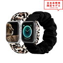 Apple Watch アップルウォッチ 7/6/5/4/3/2/1/SE 38/40/41mm 42/44/45mm 対応 ベルト バンド シュシュ 2色セッ...
