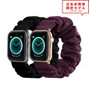 Apple Watch アップルウォッチ 9/8/7/6/5/4/3/2/1/SE/Ultra2/Ultra 38/40/41mm 42/44/45/49mm ...