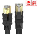 LANケーブル イーサネットケーブル ネットワークケーブル 65Ft/20m CAT8/カテゴリー8 フラットタイプ 高速 有線 Ethernet ケーブル 日本未発売