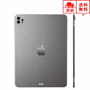 即納 iPad Pro 11インチ 2021 (第3世代) ケース スキンシール 薄さ0.2mm 背面 フィルム ガンメタリック