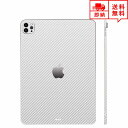 即納 iPad Pro 11インチ 2021 (第3世代) ケース スキンシール 薄さ0.2mm 背面 フィルム シルバーカーボン