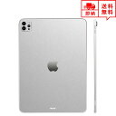 即納 iPad Pro 11インチ 2021 (第3世代) ケース スキンシール 薄さ0.2mm 背面 フィルム アップルシルバー