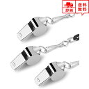 即納 ホイッスル 笛 防災グッズ 緊急ホイッスル シルバー 3枚セット ストラップ付き 救助笛 熊避け 防犯 スポーツ 審判 登山 ハイキング ポイント消化