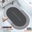 珪藻土バスマット ソフト 60cmx40cm 風呂マット 洗濯可 洗面マット アスベストなし 足マット キッチンマット 無石綿 水気切り 柔らか 珪藻土ソフトマ...