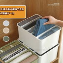 収納ケース 衣類 ズボン 下着 引き出し 仕切り クローゼット おしゃれ プラスチック 奥行き30衣服 重ねる 衣装ケース 押入れ