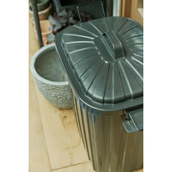 東谷 ゴミ箱 ペールカン 60L ダストボックス ペールカン 60L フタ付 おしゃれ ガレージ 屋外用 キッチンペール くず入れ 分別 国産 ショック吸収 柔軟性抜群 取っ手付 グリーン ベージュ ブラック 【LFS-937】