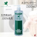 グリーンモーション エコランドリー500ml 日用品 日用雑貨 洗濯洗剤 洗剤 コスパ 経済的 洗濯層 ウール シルク 節約 100%植物由来 中性洗剤 界面活...