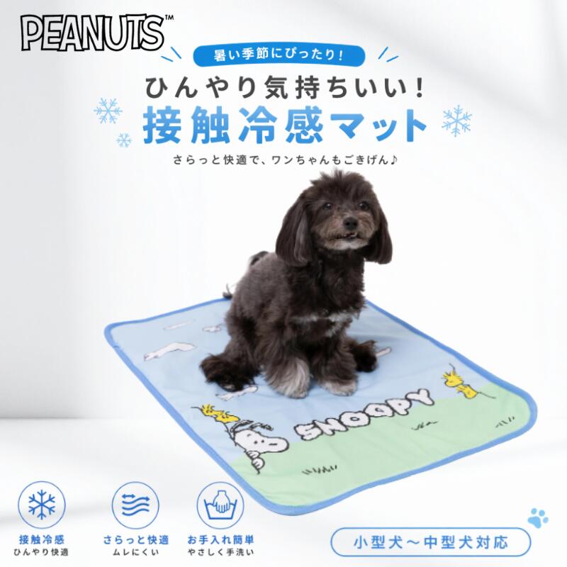 スリーアローズ クールブランケット 冷感マット ペットマット 接触冷感 リバーシブル 60×45cm 洗える 夏用ひんやりマット 犬 猫 カフェマット 車内 ソファ用 軽量 持ち運び スヌーピー SNOOPY 青空柄 PEANUTS