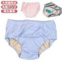 【最大21%OFF夏セールまとめクーポン有】失禁パンツ 男性用 女性用 200cc以上 失禁ショーツ 吸水パンツ 大容量 尿漏れパンツ 失禁 尿もれ 大きいサイズ シニア 介護パンツ 失禁対策 尿漏れ対策 高齢