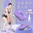 ツイストボード ウエストツイスト 体操 ダイエット 静音 運動器具 バレエ フィットネス エクササイズ 家庭用 運動 体幹 トレーニング
