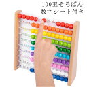 知育玩具 そろばん 木製 100玉 算数 子供 小学生