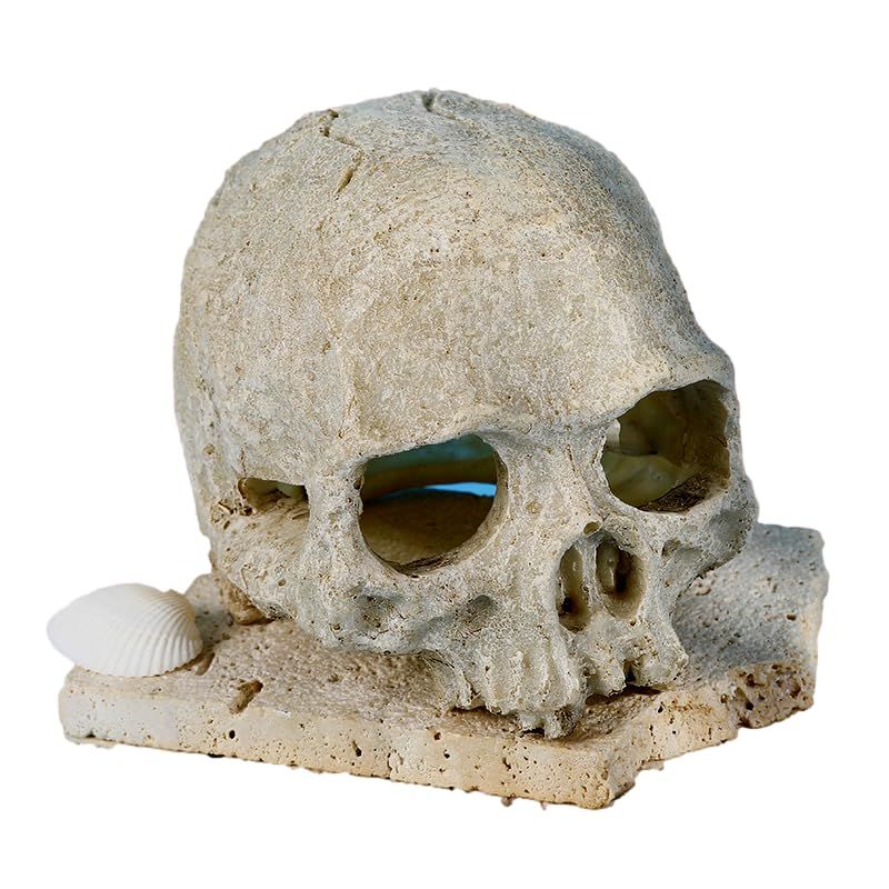 爬虫類シェルター ドクロ型 テラリウム用