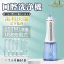 口腔洗浄機 電動 ジェットウォッシャー 歯間洗浄機 口腔洗浄器 歯茎ケア 口内洗浄機 ジェット水流 5段階水圧 USB充電式 大容量 家庭用 浴室 PSE認証(4)