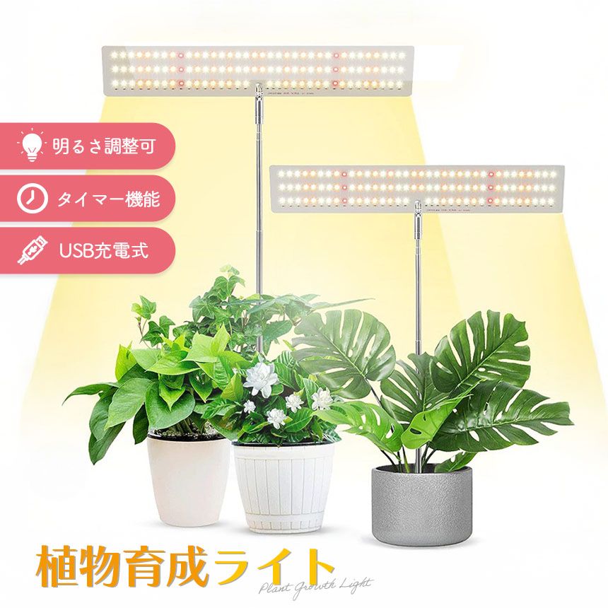 ں21OFFƥޤȤ᥯ݥͭۿʪ饤 LED 3⡼ 10Ĵ ޡդ 