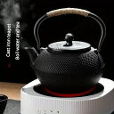 【GW限定15%OFFクーポン有】急須 鋳鉄製 ステンレスフィルター付き 電気陶器炉対応